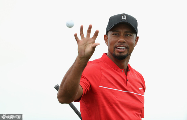 老虎复出即是胜利