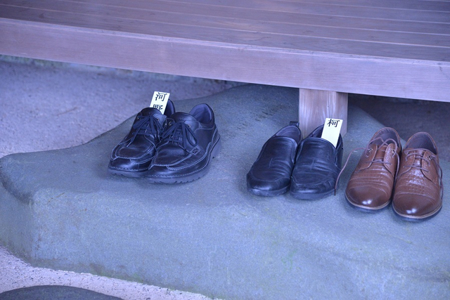 阿含桐山杯中日冠军对抗赛_新浪图片