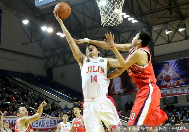 吉林东北虎vs广州龙狮 张彪发挥出色