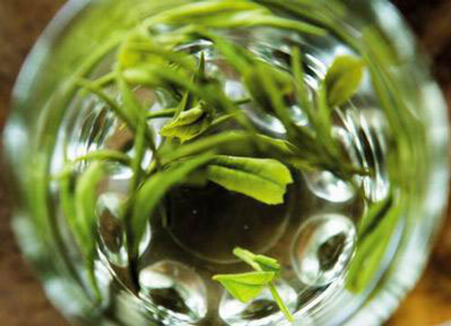 抗癌食物：茶叶