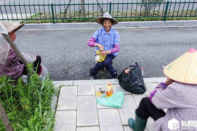 杭州大妈坐拥四套房仍打工 烈日下拔草吃饭