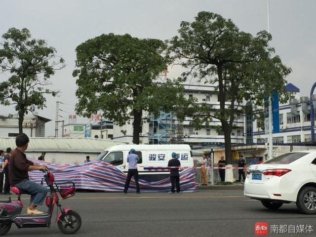 男子追砸运钞车被击毙 为何砸车