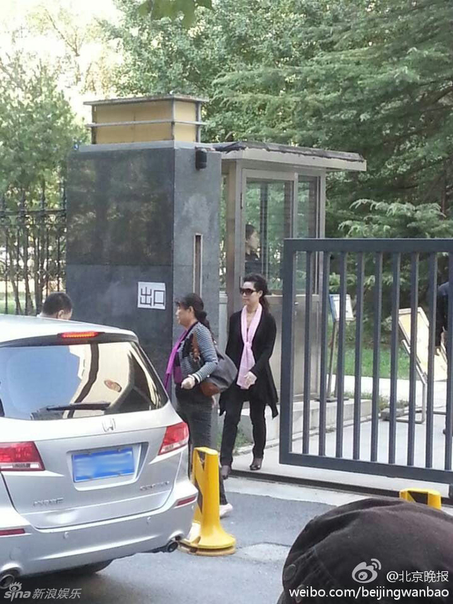 梦鸽离开法院