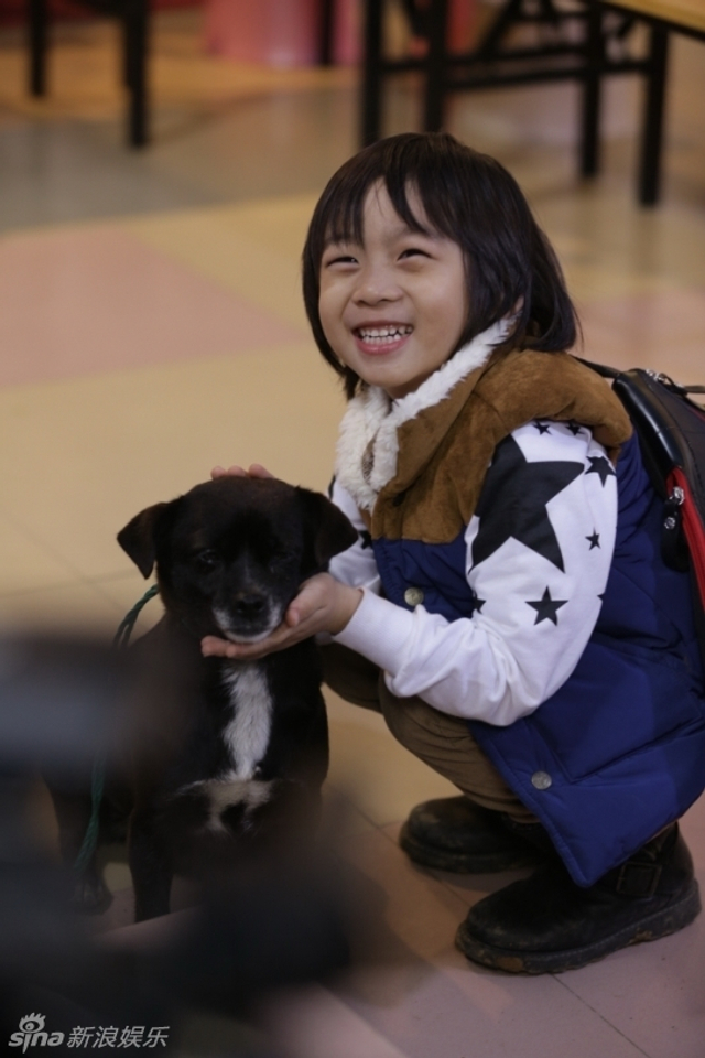 Kimi与可爱小狗