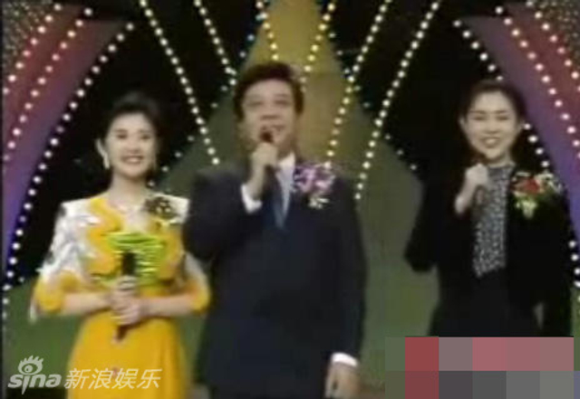 95年：赵忠祥 倪萍 许戈辉 