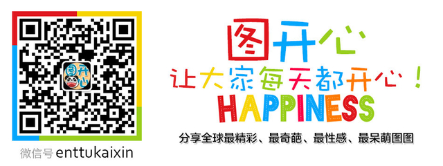 扫描二维码，关注图开心