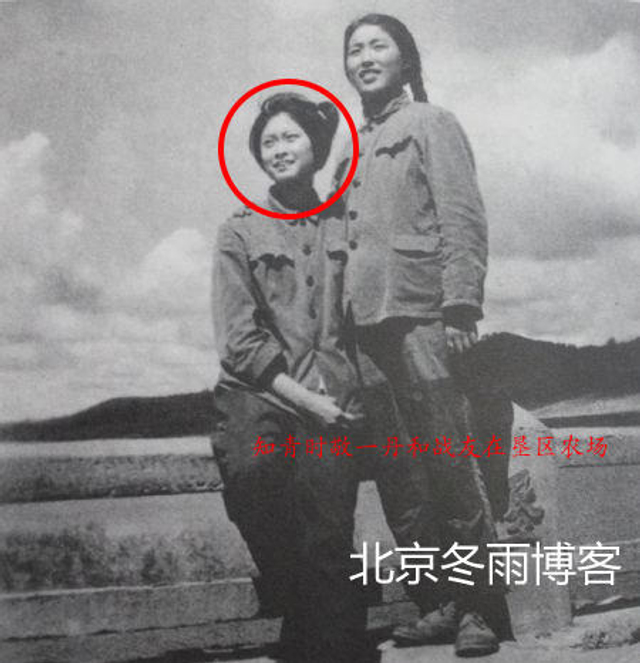 敬一丹青涩照