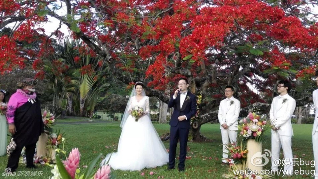 陆川胡蝶婚礼现场