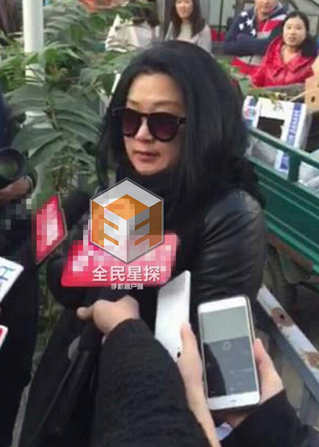 张铁林私生女案开庭 骨肉终被承认