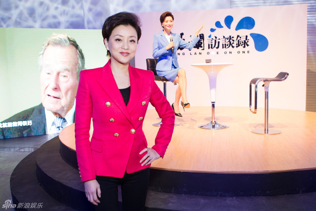 新浪娱乐对话杨澜
