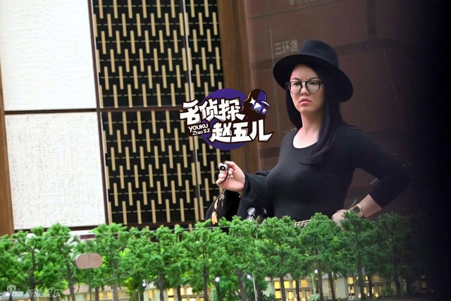 李湘投资房产不手软