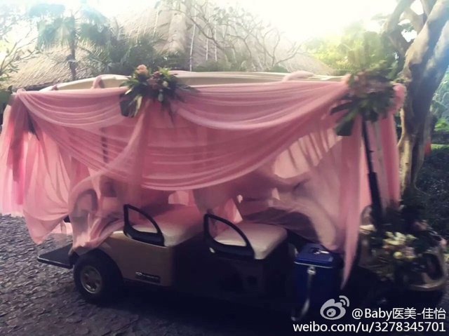 疑似婚车
