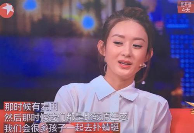 赵丽颖