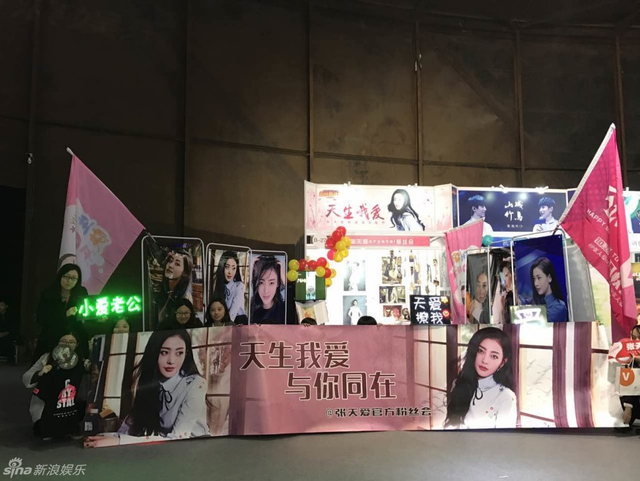张天爱展位