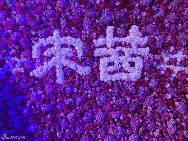 宋茜展位