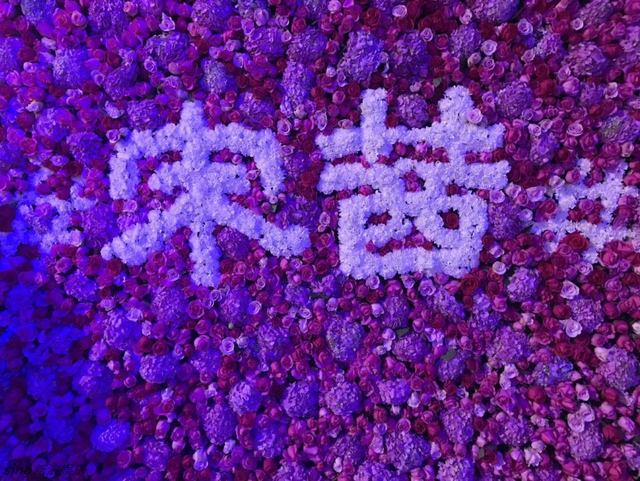 宋茜应援团