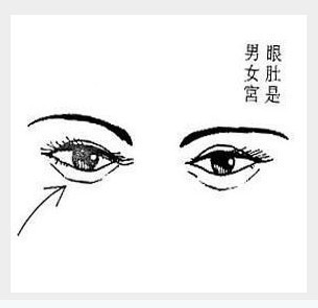 男女宫丰厚有肉