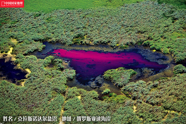 克拉斯诺达尔盐沼