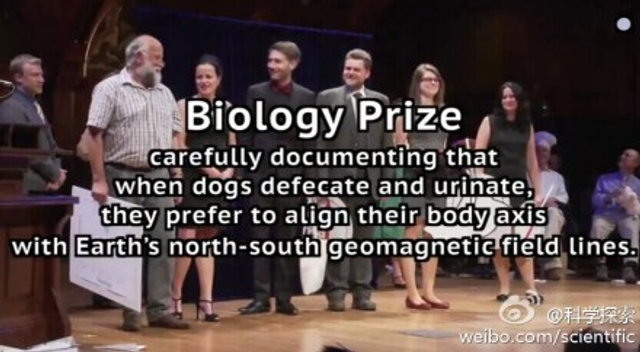 生物学奖：狗狗排便的姿势