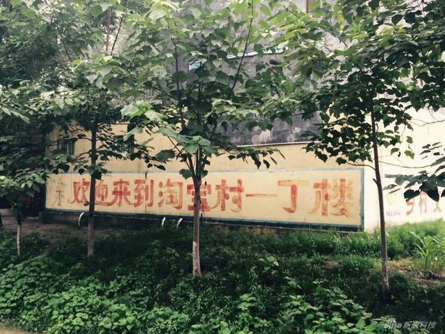 山东菏泽淘宝村走访：野蛮式生长