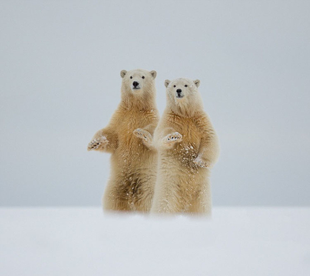基恩表示,看到熊宝宝向自己挥手时,那种感觉太奇妙了.
