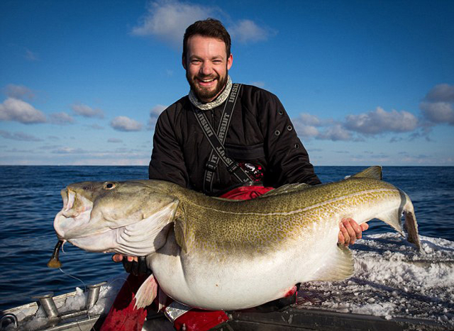 垂钓者挪威钓84斤重鳕鱼