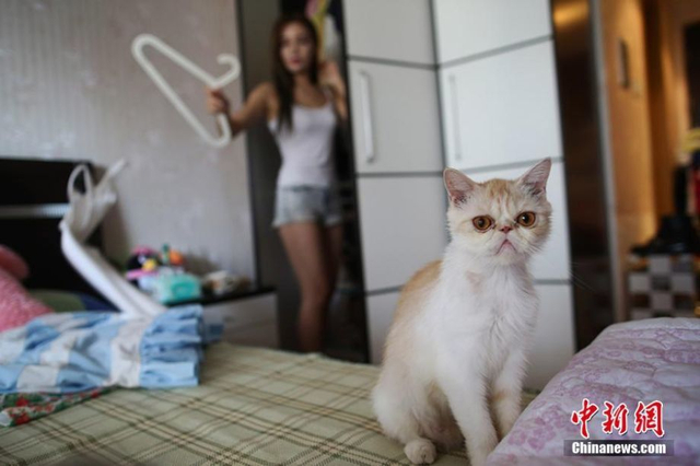 网红晓晓的日常生活