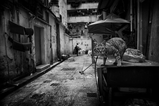 黑镜头：香港九龙的夜晚