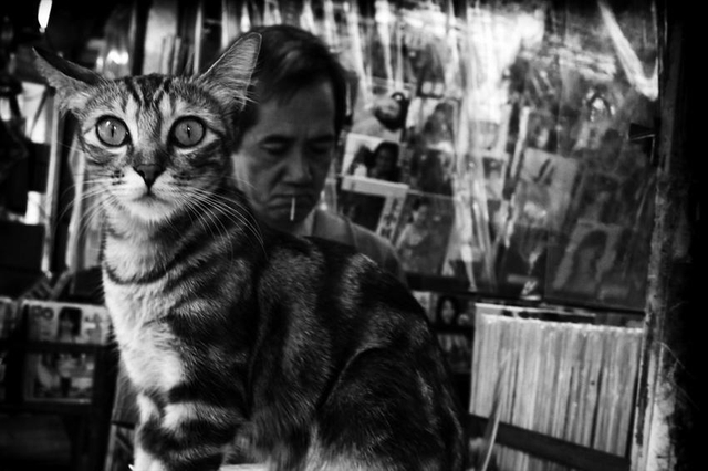 黑镜头：香港九龙的夜晚