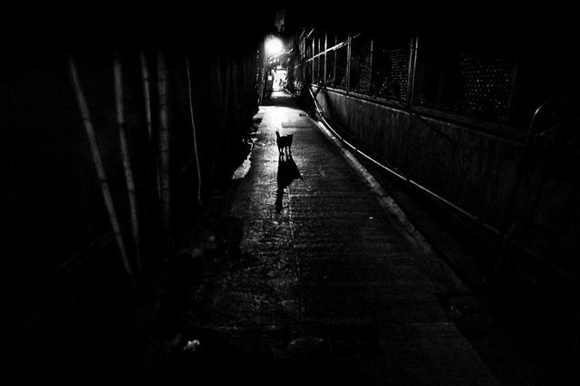 黑镜头：香港九龙的夜晚