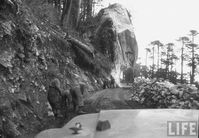 中印战争中的印度百态