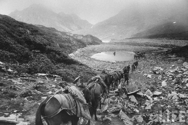 中印战争中的印度百态