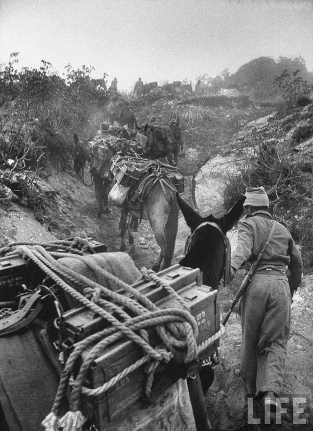 中印战争中的印度百态