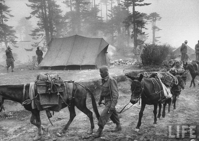 中印战争中的印度百态