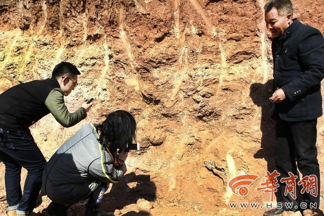村民修路挖出“石疙瘩” 系恐龙蛋化石