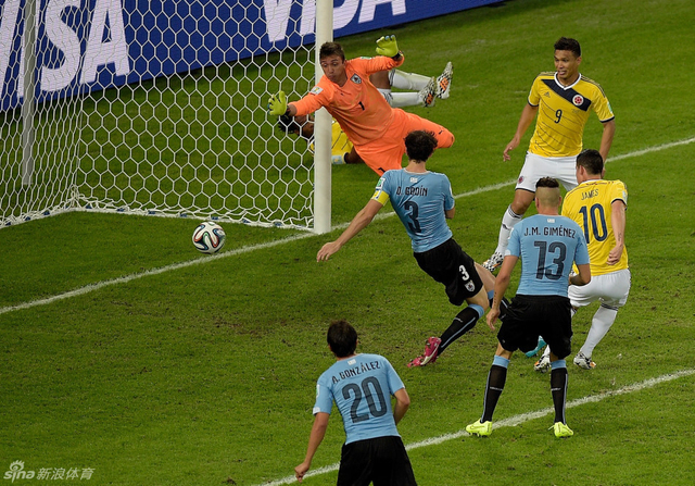 嗅觉灵敏迅如捷豹