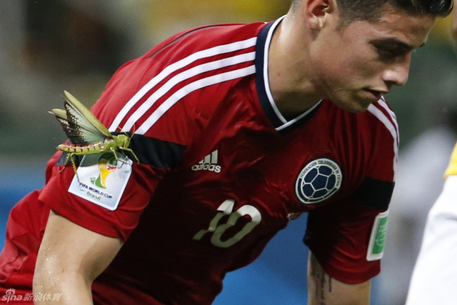 小生灵也为你而驻留