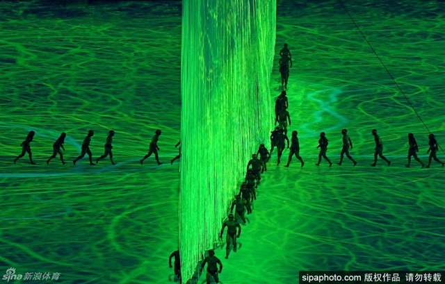 梦幻的海洋和丛林