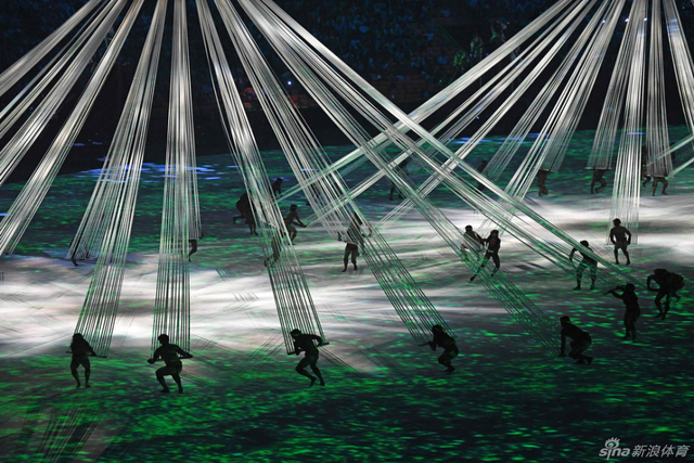 梦幻的海洋和丛林