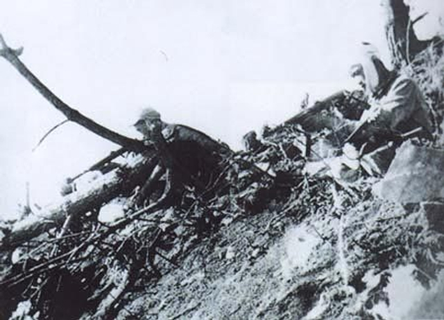 41、在金城以南阻击作战中，志愿军共击退敌人反扑1000余次，使其夺回金城以南地区的企图遭到失败