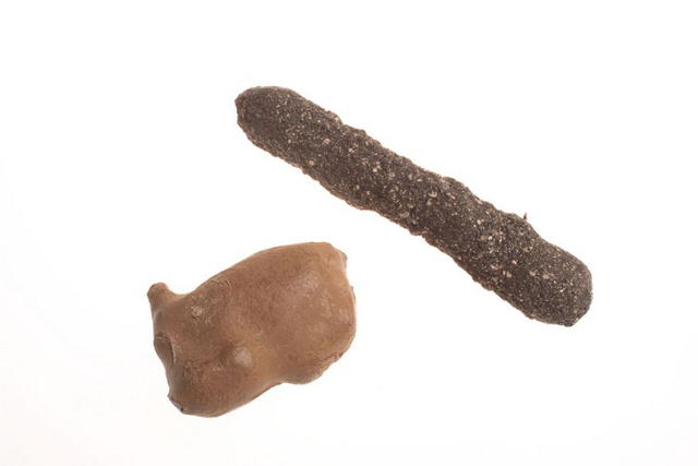 震动侵入者探测装置