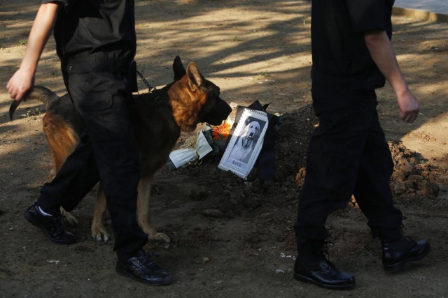 武汉刑警为功勋警犬“旺财”举行葬礼