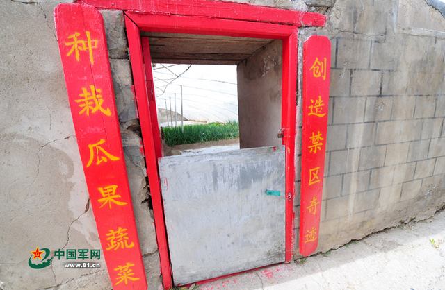 邦达兵站蔬菜大棚外景（记者李爱明摄）