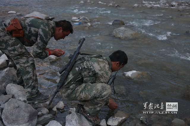 遇到水源大家先是趴在河里喝饱再洗一洗