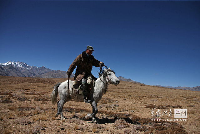 乘马在各阵地之间检查指导
