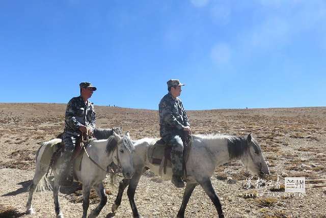 军马现在成了“主战装备”