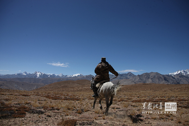 骑兵在阵地之间传送号令