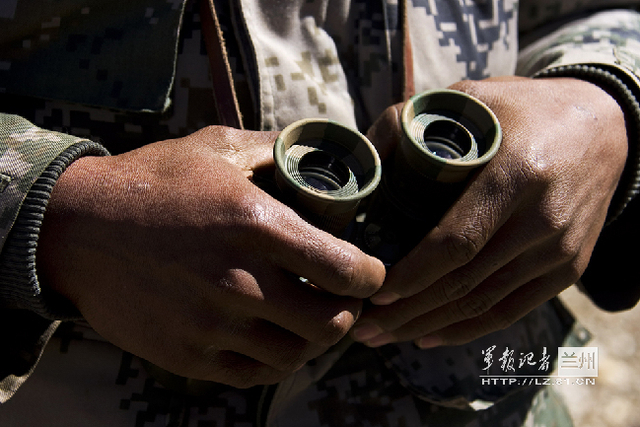 年轻的“老手”