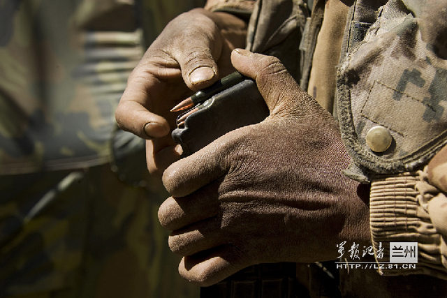 年轻的“老手”