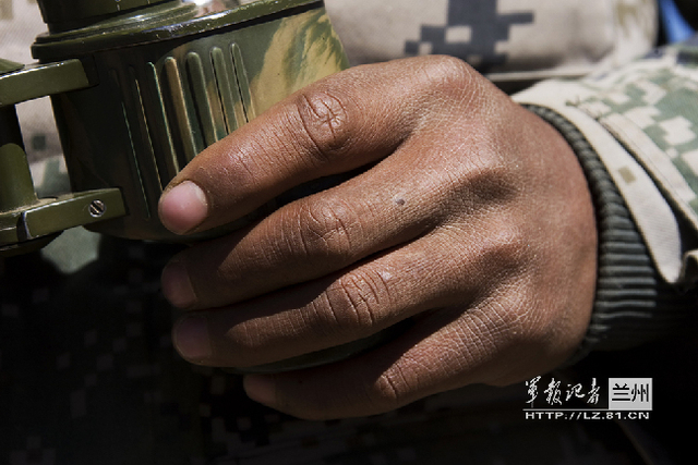 年轻的“老手”